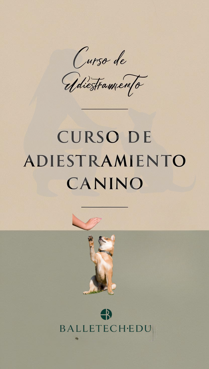 🐶📚 ¡Convierte a tu perro en el compañero ideal! 🏅✨

Aprende técnicas efectivas de adiestramiento canino con nuestro curso 100% online. 🐕💡 ¡Fortalece el vínculo con tu mascota y mejora su comportamiento desde casa!